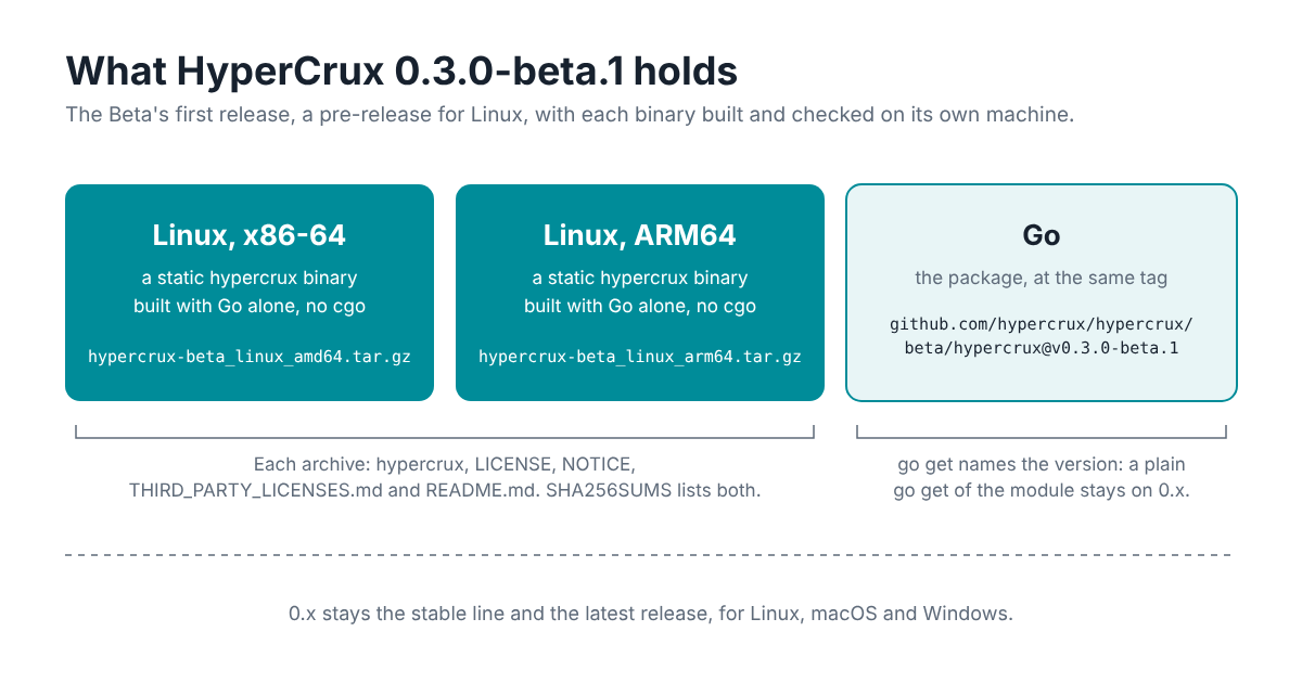 Diagram of what HyperCrux 0.3.0-beta.1 holds: two archives of the Beta’s static hypercrux binary, built with Go alone and no cgo, hypercrux-beta_linux_amd64.tar.gz for Linux on x86-64 and hypercrux-beta_linux_arm64.tar.gz for Linux on ARM64, each with LICENSE, NOTICE, THIRD_PARTY_LICENSES.md and README.md, and SHA256SUMS listing both; and the Go package at the same tag, github.com/hypercrux/hypercrux/beta/hypercrux at v0.3.0-beta.1, which go get has to name, since a plain go get of the module stays on 0.x. 0.x stays the stable line and the latest release, for Linux, macOS and Windows.
